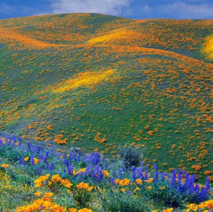 Kitulo National Park in Matamba