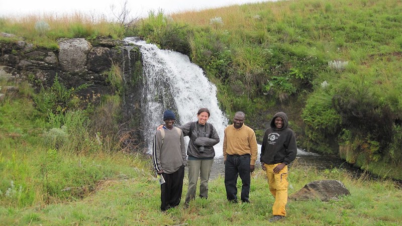 Photo 1 at Kitulo National Park in Matamba