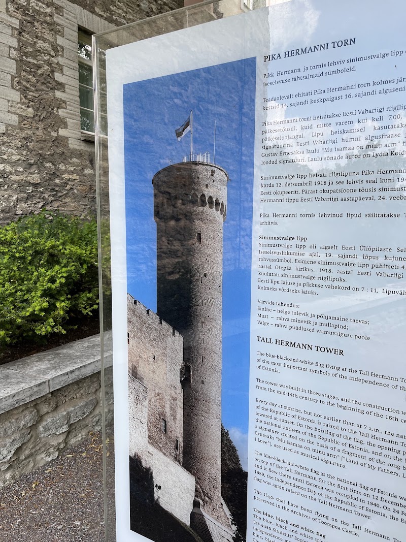 Photo 2 at Tall Hermann in Tallinn