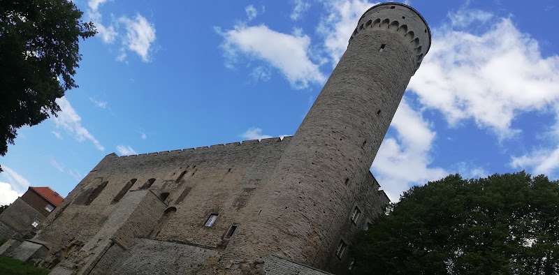 Photo 5 at Tall Hermann in Tallinn