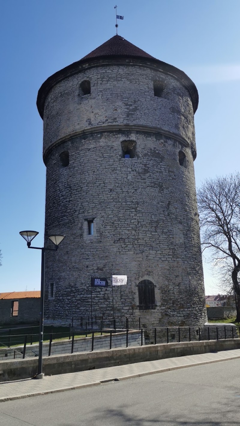 Photo 3 at Tall Hermann in Tallinn