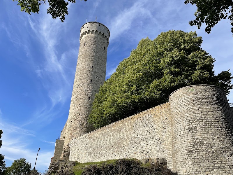 Tall Hermann in Tallinn
