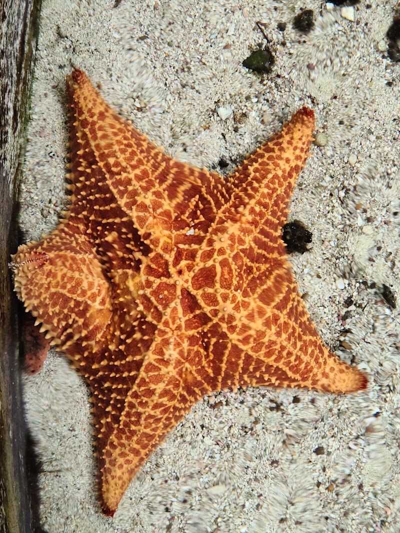 Photo 1 at Punta Culebra Nature Center in Panamá