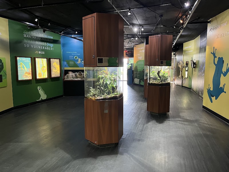 Punta Culebra Nature Center in Panamá
