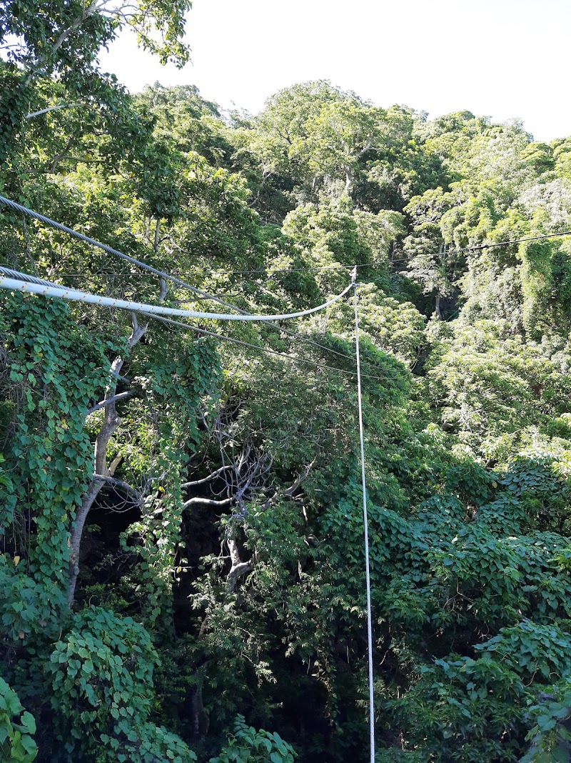 Zip Fiji Momi in Tau