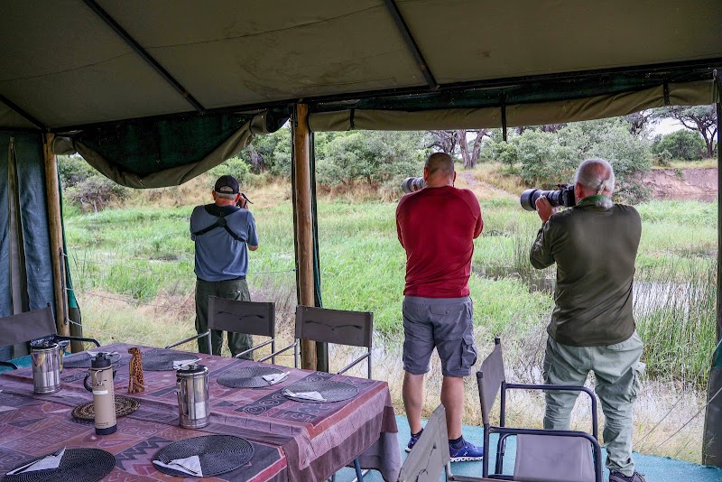 Photo 2 at Letaka Safaris in Maun