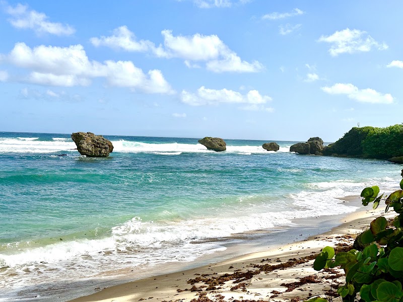 Photo 6 at Bathsheba Park in Hill Crest
