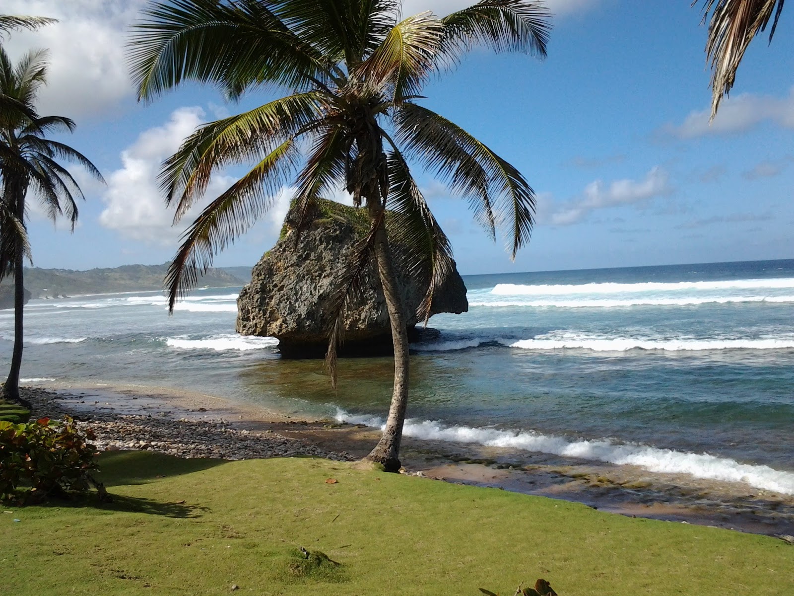 Bathsheba Park in Hill Crest