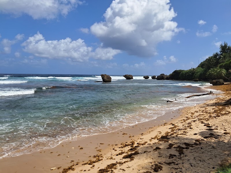 Photo 2 at Bathsheba Park in Hill Crest