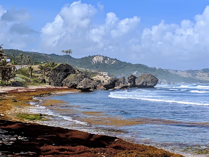 Photo 3 at Bathsheba Park in Hill Crest