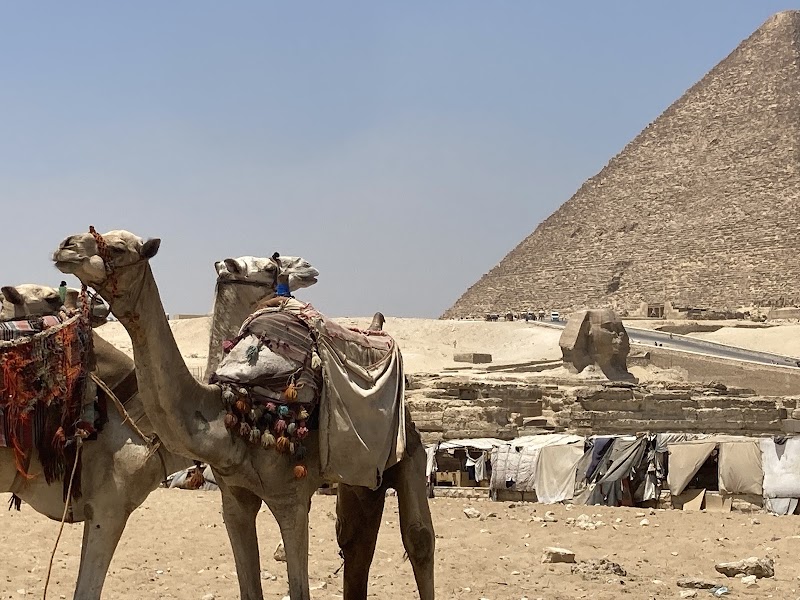 Photo 3 at Great Sphinx of Giza in 