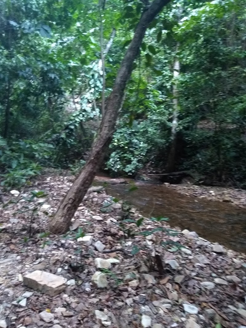 Photo 6 at Wli Agumatsa Waterfalls in Wli