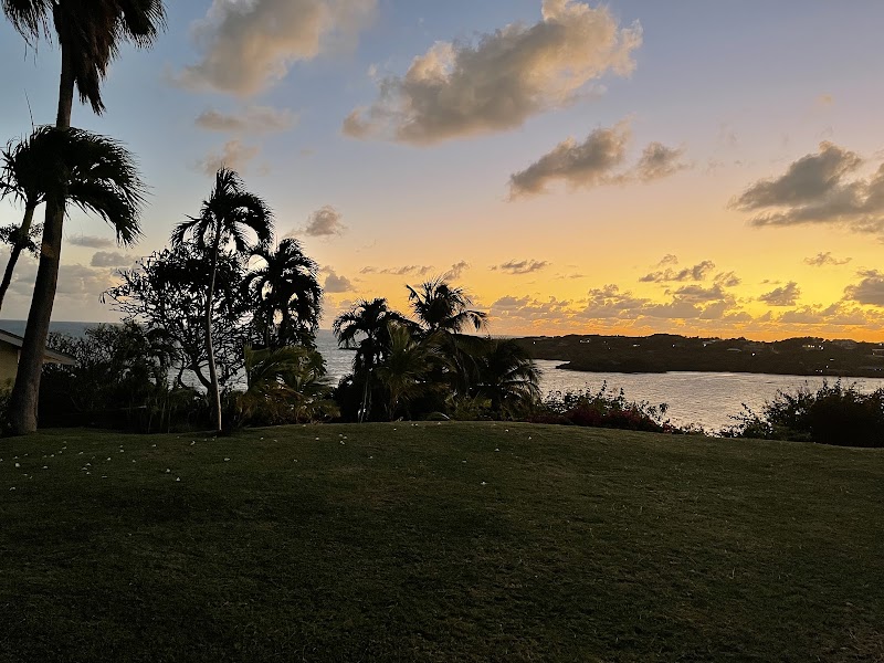 Photo 3 at Westerhall Point in 