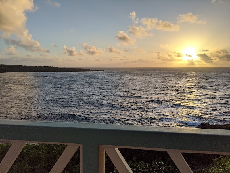 Photo 1 at Westerhall Point in 