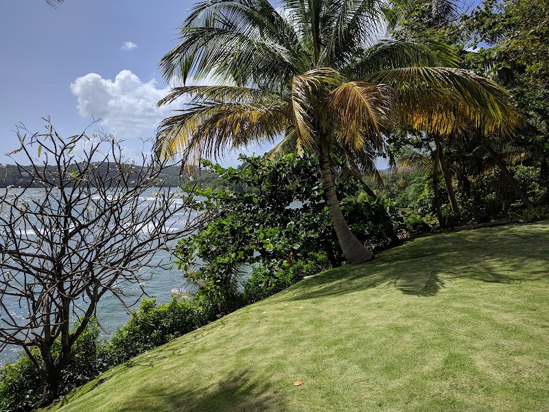 Photo 5 at Westerhall Point in 