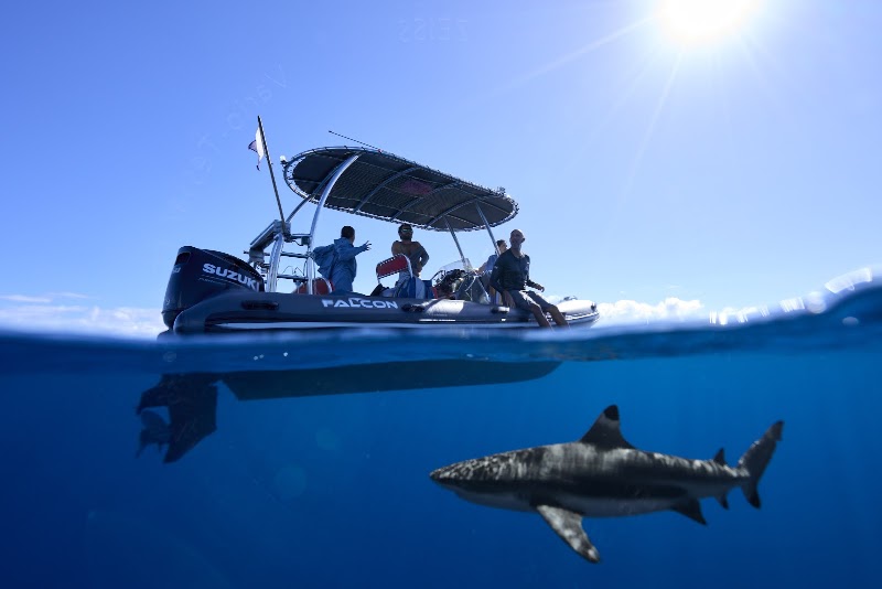 Photo 6 at Moorea Ocean Adventures in Moorea