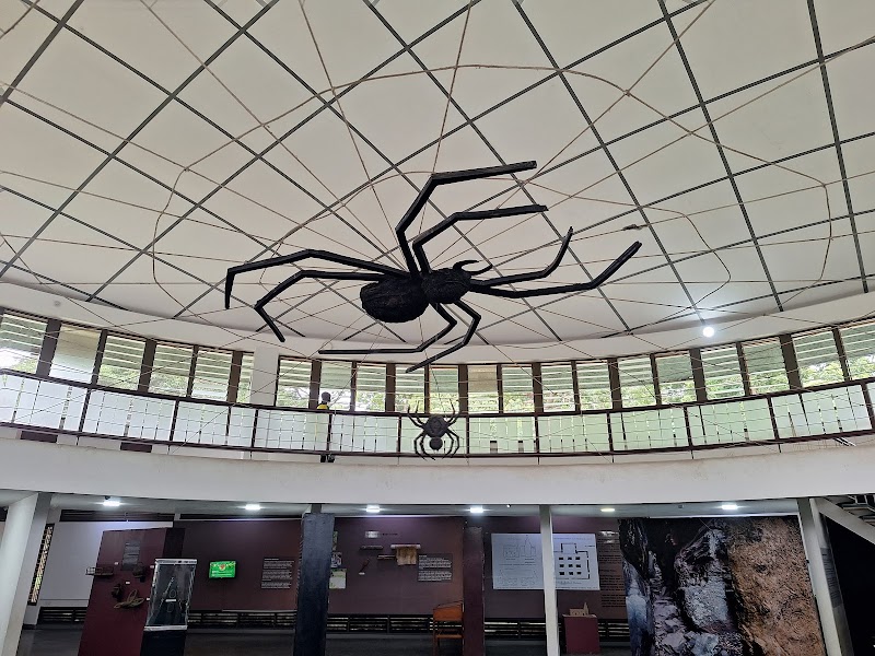 Photo 2 at National Museum of Ghana in Accra