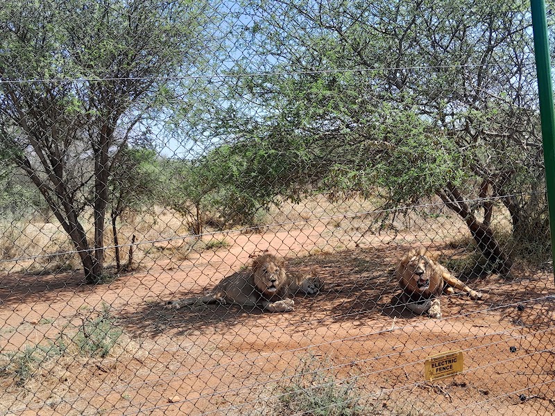 Photo 6 at Lion Park Resort in Gaborone
