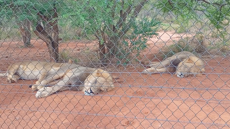 Photo 2 at Lion Park Resort in Gaborone