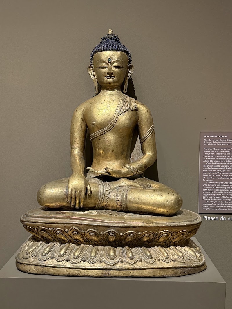 Photo 5 at Michael C. Carlos Museum in Atlanta