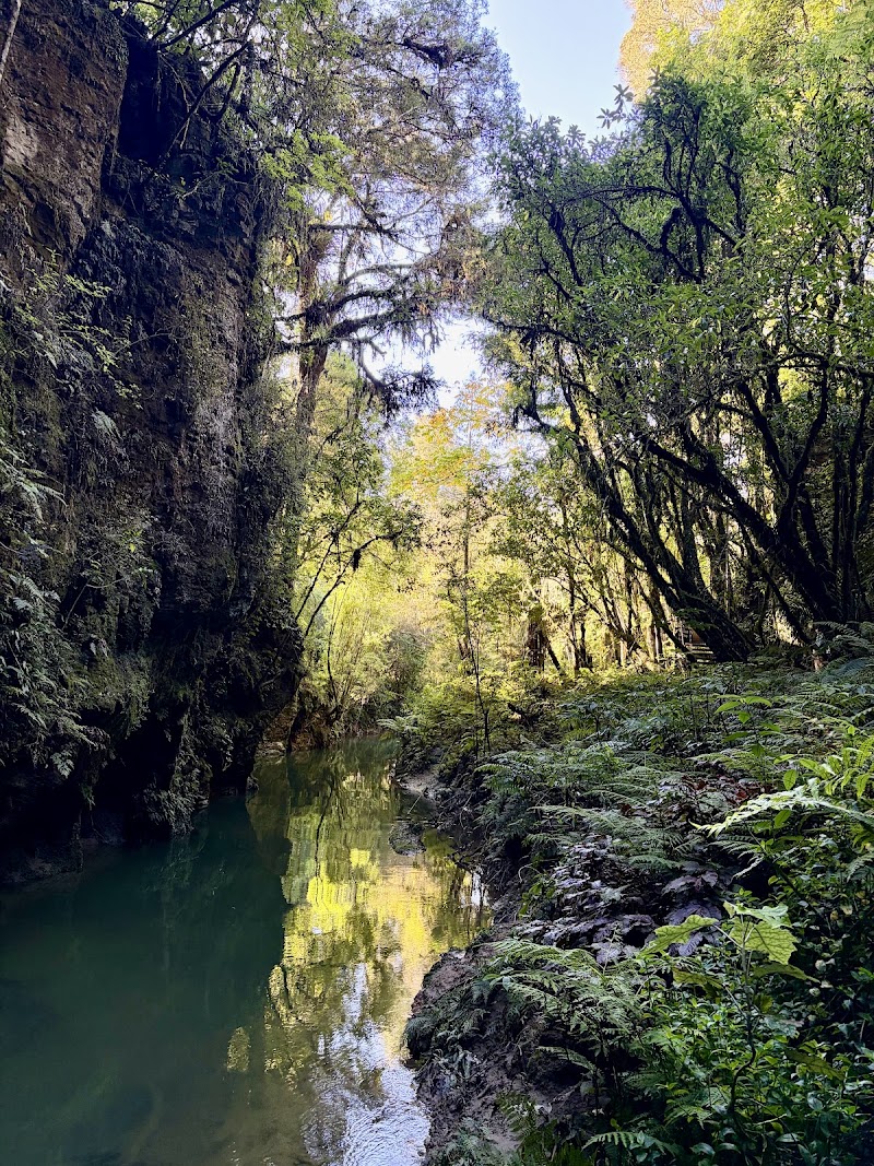 Photo 2 at Waitomo Glowworm Caves in Waitomo