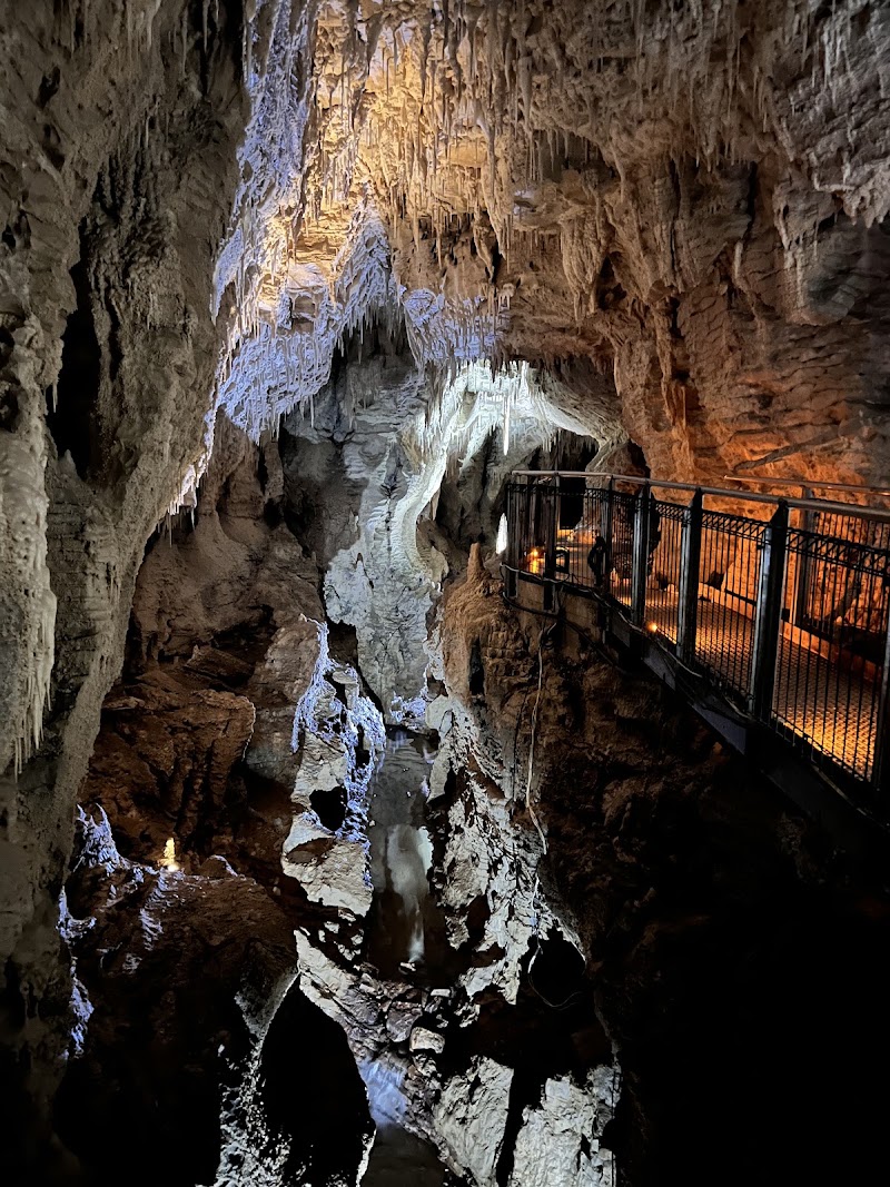 Photo 6 at Waitomo Glowworm Caves in Waitomo