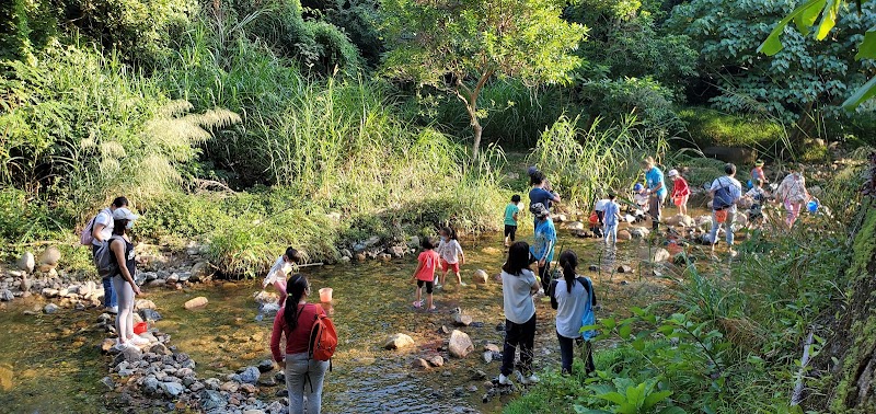 Photo 2 at Hong Kong Forest Adventures in 