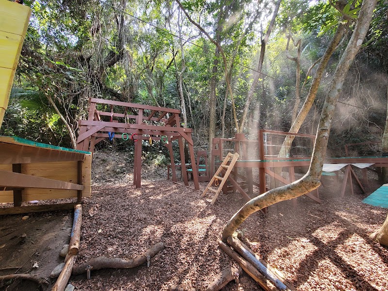 Photo 5 at Hong Kong Forest Adventures in 