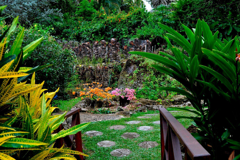 Photo 2 at Andromeda Botanic Gardens in Bathsheba