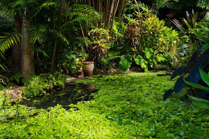 Photo 1 at Andromeda Botanic Gardens in Bathsheba