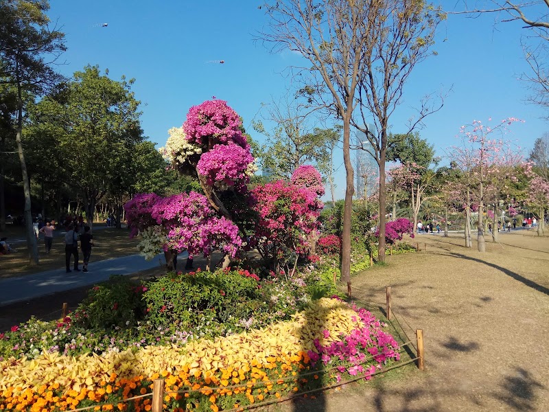 Photo 6 at Lianhuashan Park in Shen Zhen Shi