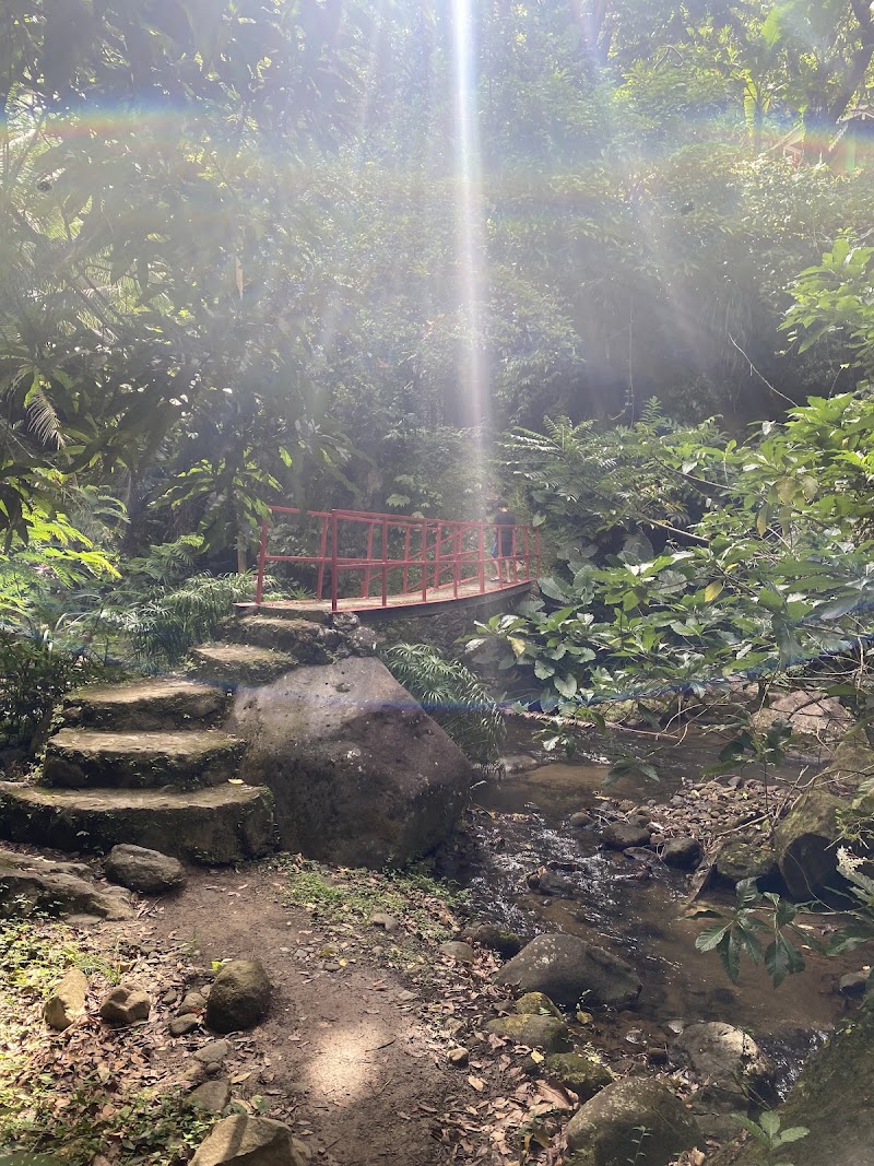 Photo 5 at New Jerusalem Mineral Baths in Malgretoute