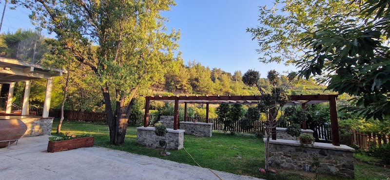 Photo 4 at Adventure Mountain Park in Kyperounta