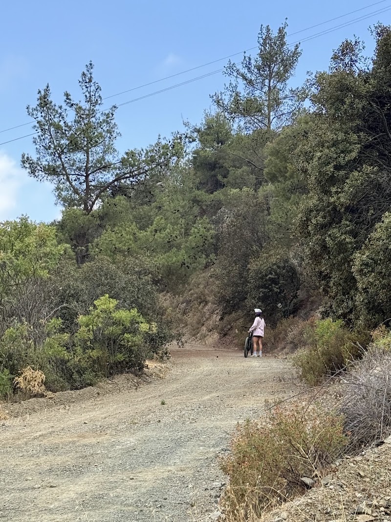 Photo 3 at Adventure Mountain Park in Kyperounta