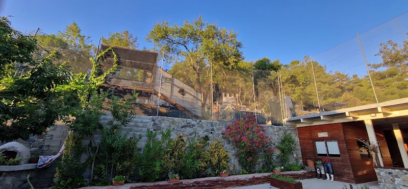 Adventure Mountain Park in Kyperounta