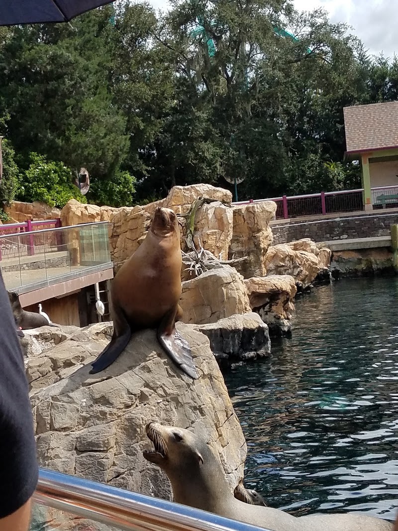 Photo 5 at SeaWorld Orlando in Orlando