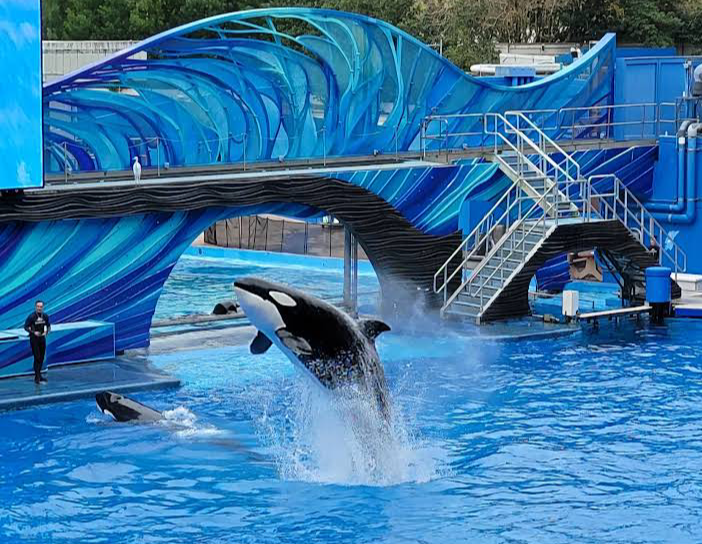 Photo 1 at SeaWorld Orlando in Orlando