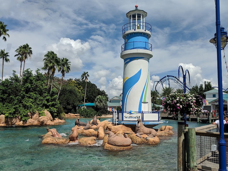 SeaWorld Orlando in Orlando
