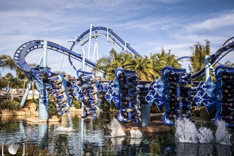 Photo 2 at SeaWorld Orlando in Orlando