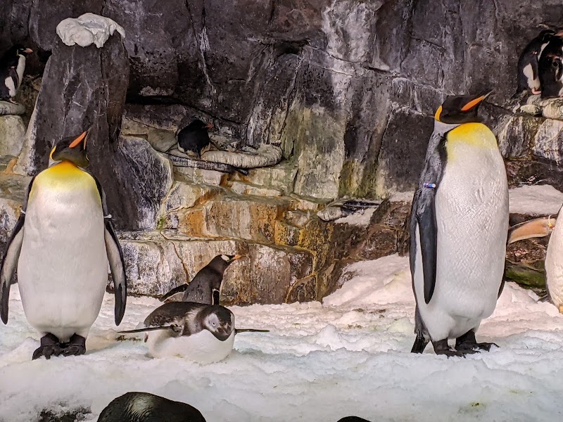 Photo 3 at SeaWorld Orlando in Orlando