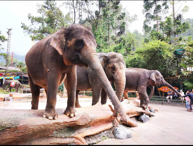 Photo 1 at Taman Safari Indonesia Bogor in Kecamatan Cisarua
