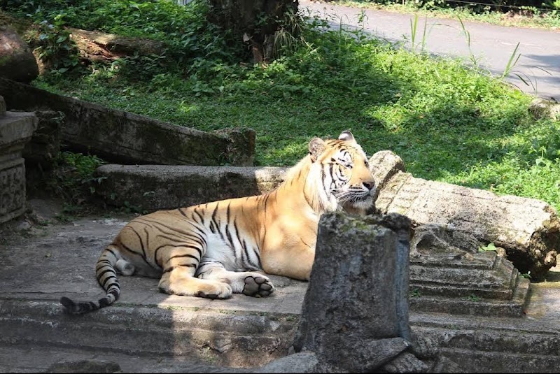 Photo 2 at Taman Safari Indonesia Bogor in Kecamatan Cisarua