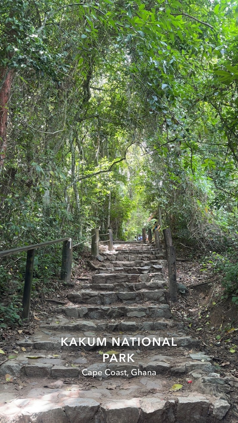 Photo 3 at Kakum National Park in 