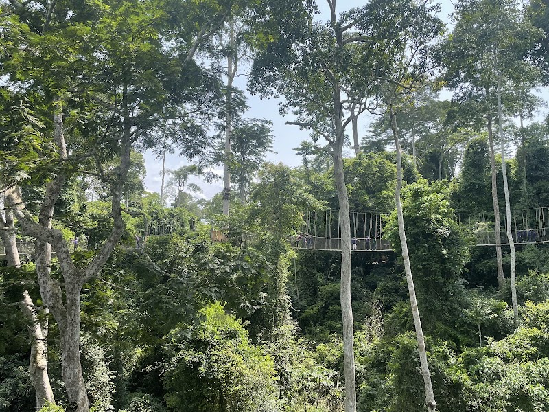 Photo 1 at Kakum National Park in 