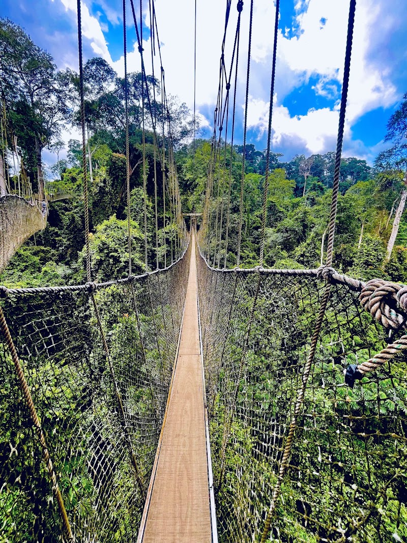 Kakum National Park in 