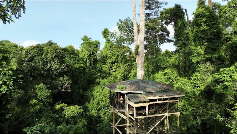 Photo 6 at Kakum National Park in 