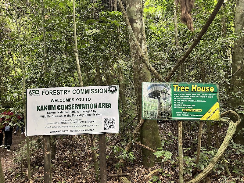 Photo 5 at Kakum National Park in 