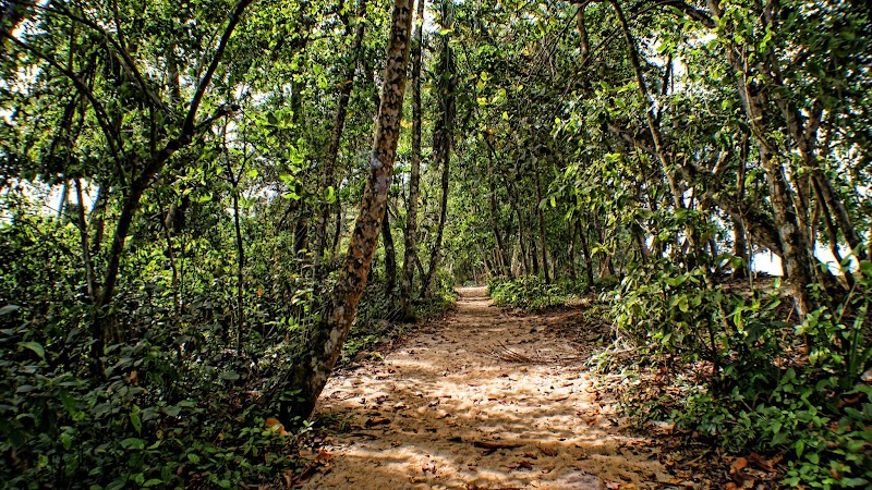 Parque Nacional Cahuita in Cahuita