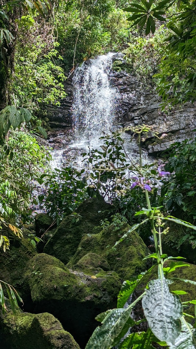 Photo 1 at Blue Mountains National Park in Mulleth Hall