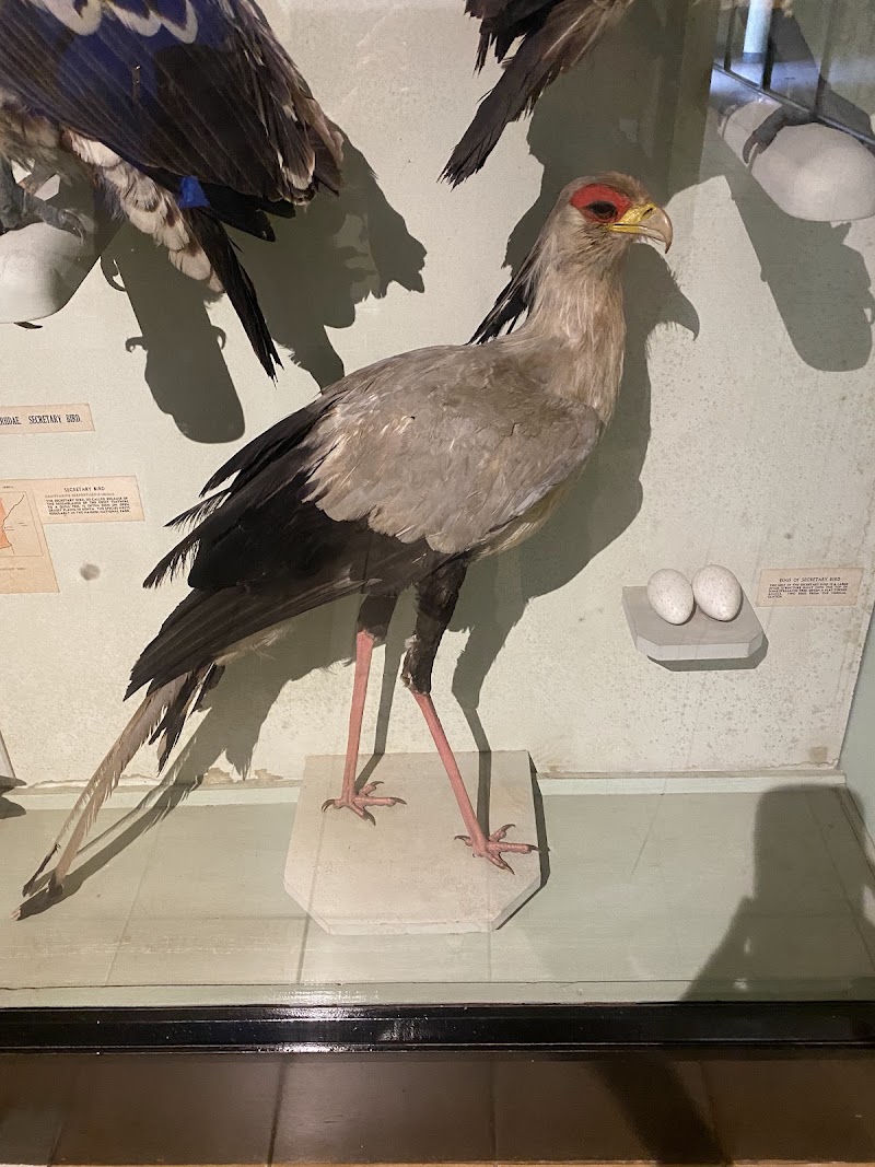 Photo 4 at National Museum of Kenya in Nairobi